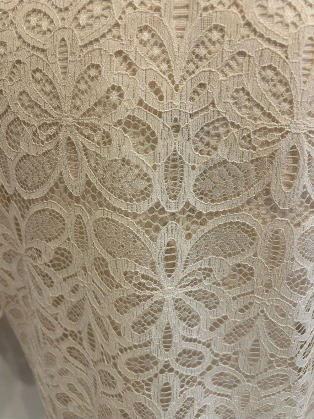 intimissimi Cream Lace Short Sleeve Button-Up Blouse - Picture 7 of 8